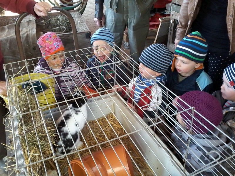 KiGa Kürzell auf dem Bauernhof2 - 2016-04